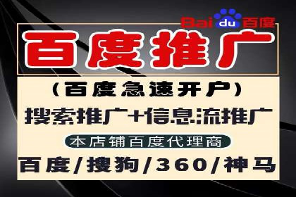 XX行业竞价广告的投放策略与效果分析